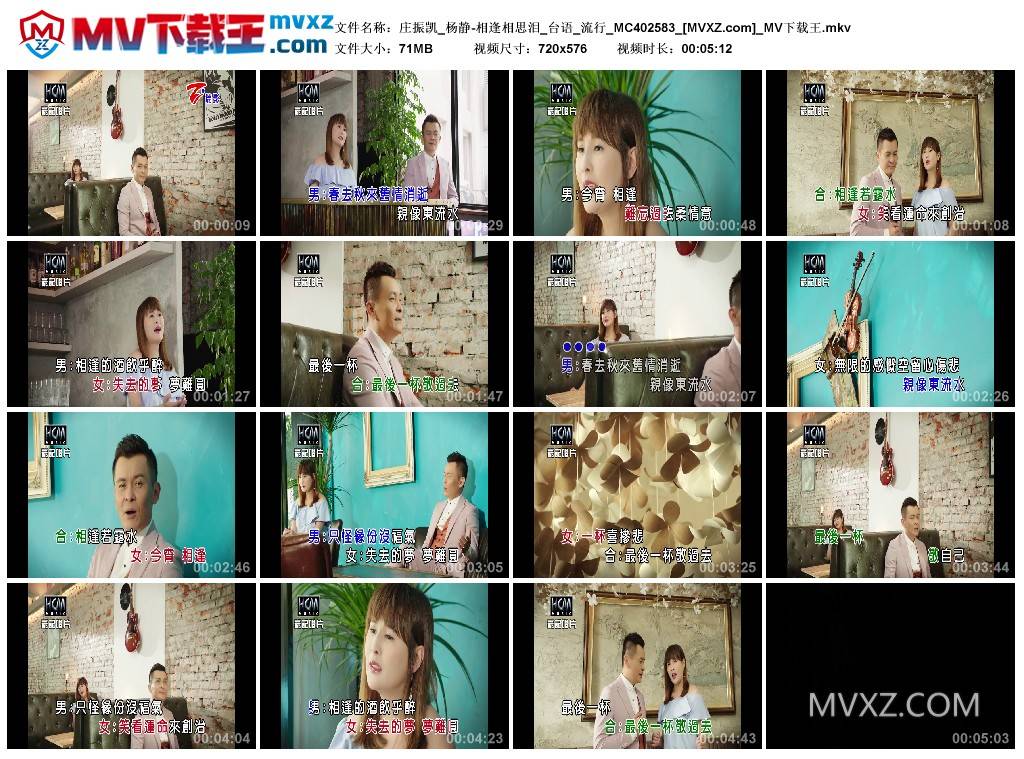 庄振凯_杨静-相逢相思泪_台语_流行_MC402583